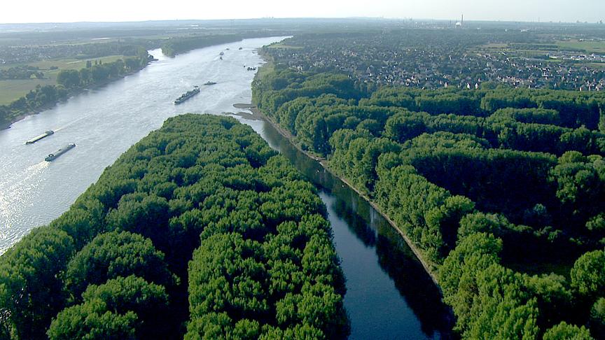 Im Bild: Die Sieg bei der Mündung zum Rhein.