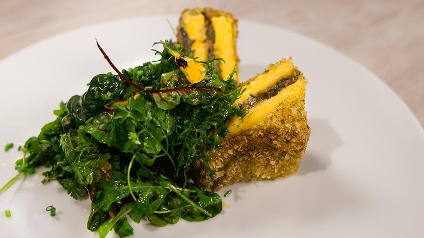 Polentaschnitte mit Champignonfüllung an mariniertem Wildkräuter-Salat