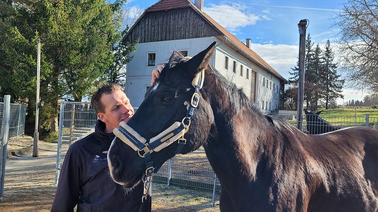 Florian Oberparleiter mit Pferd Tassilo