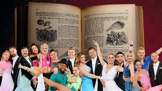 © ORF/Roman Zach-Kiesling/ Colourbox Alle Tanzpaare auf einen Blick.