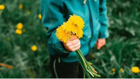 © Unsplash Kind in Outdoor-Kleidung hält einen kleinen Strauß Löwenzahn in der Faust
