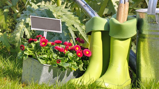© Foto: Colourbox Gießkanne, Gummistiefel und Blumentopf stehen in der Wiese.