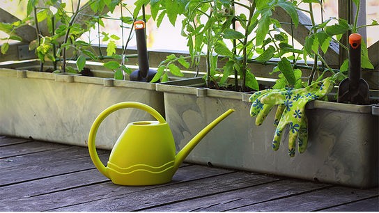 © Colourbox Eine grüne Gießkanne vor bepflanzten Blumenkästen