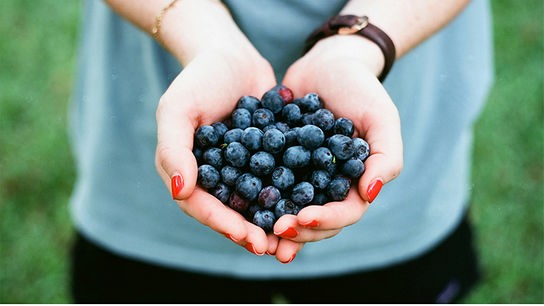 © Foto: Unsplash Eine Person mit lakierten, roten Fingernägeln hält Heidelbeeren.