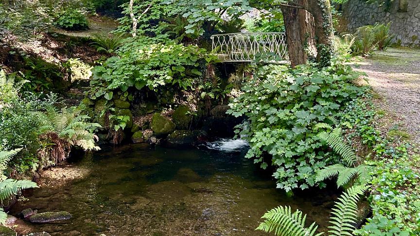 © Foto: ORF/Ralph Huber-Blechinger Karl Ploberger besucht Danesmoate Gardens, den Landsitz von U2-Bassist Adam Clayton.