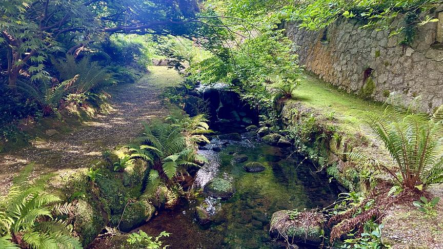 © Foto: ORF/Ralph Huber-Blechinger Karl Ploberger besucht Danesmoate Gardens, den Landsitz von U2-Bassist Adam Clayton.