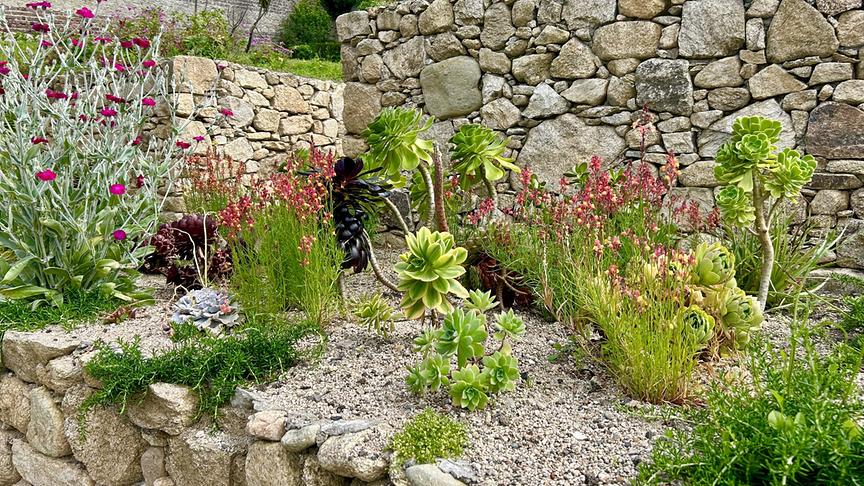 © Foto: ORF/Ralph Huber-Blechinger Karl Ploberger besucht Danesmoate Gardens, den Landsitz von U2-Bassist Adam Clayton.