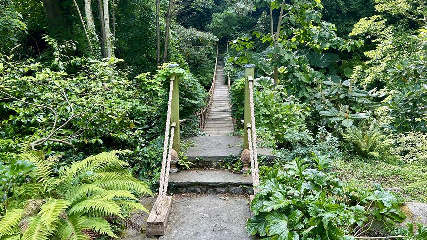 © Foto: ORF/Ralph Huber-Blechinger Karl Ploberger besucht Danesmoate Gardens, den Landsitz von U2-Bassist Adam Clayton.