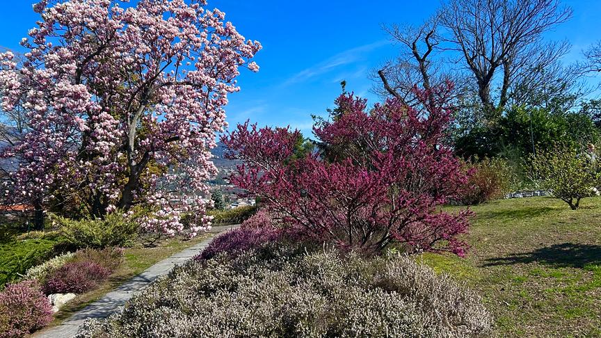 Im Bild: Giardini Botanici di Villa Taranto.