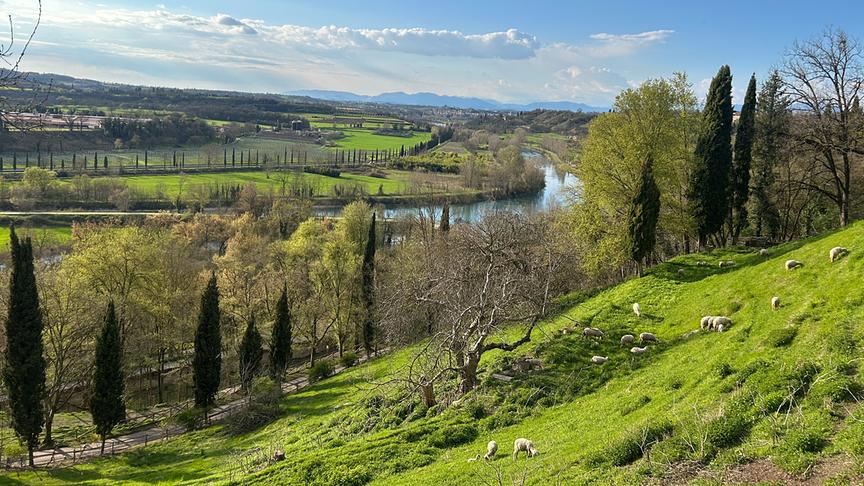 Im Bild: Parco Giardino Sigurtà, Landschaftspark in Valeggio sul Mincio in der italienischen Provinz Verona.