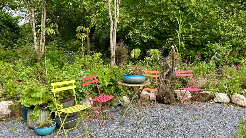 © Foto: ORF/Ralph Huber-Blechinger Karl Ploberger besucht Hunting Brook Gardens in Irland.