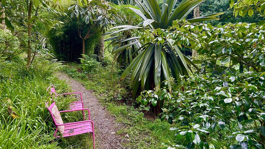 © Foto: ORF/Ralph Huber-Blechinger Karl Ploberger besucht Hunting Brook Gardens in Irland.