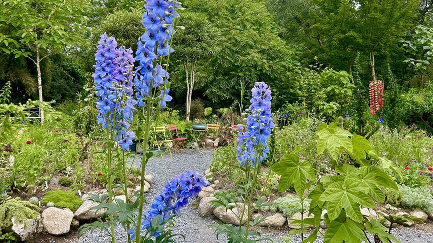 © Foto: ORF/Ralph Huber-Blechinger Karl Ploberger besucht Hunting Brook Gardens in Irland.