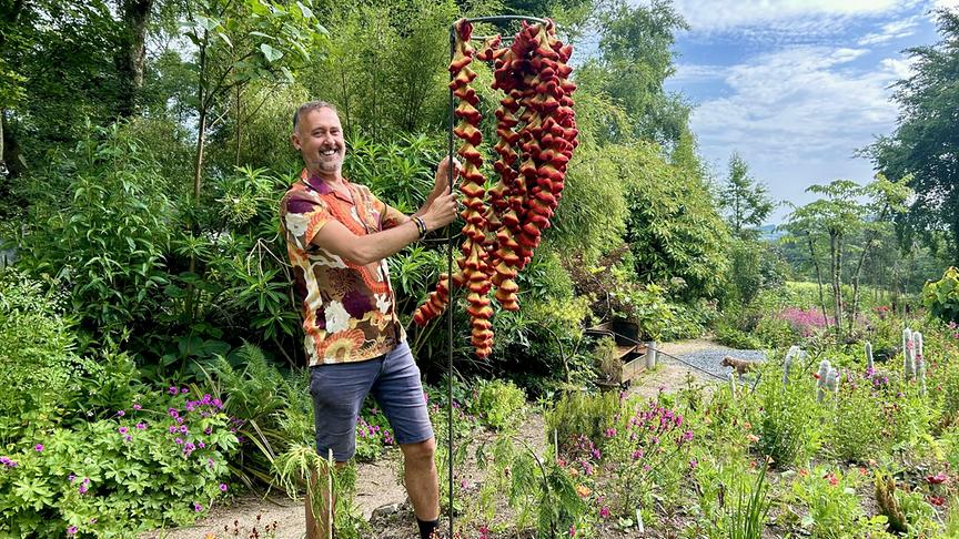 © Foto: ORF/Ralph Huber-Blechinger Karl Ploberger besucht Hunting Brook Gardens in Irland.
