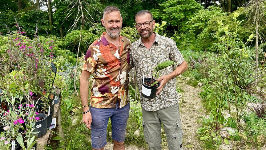 © Foto: ORF/Ralph Huber-Blechinger Karl Ploberger besucht Hunting Brook Gardens in Irland.