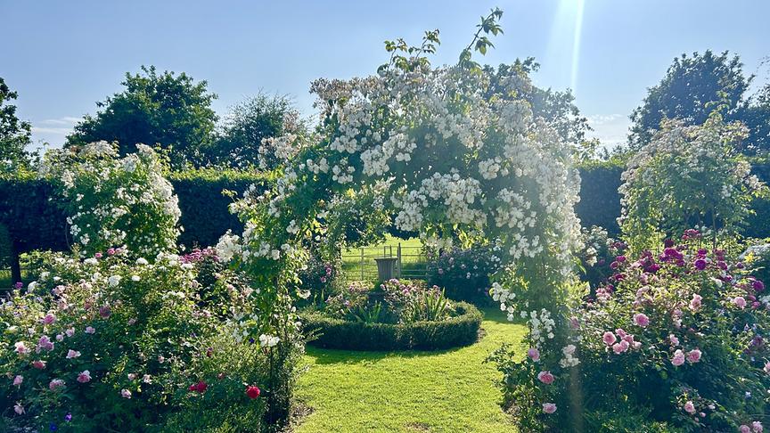 © Foto: ORF/Ralph Huber-Blechinger Karl Ploberger besucht Kilgar House Gardens.