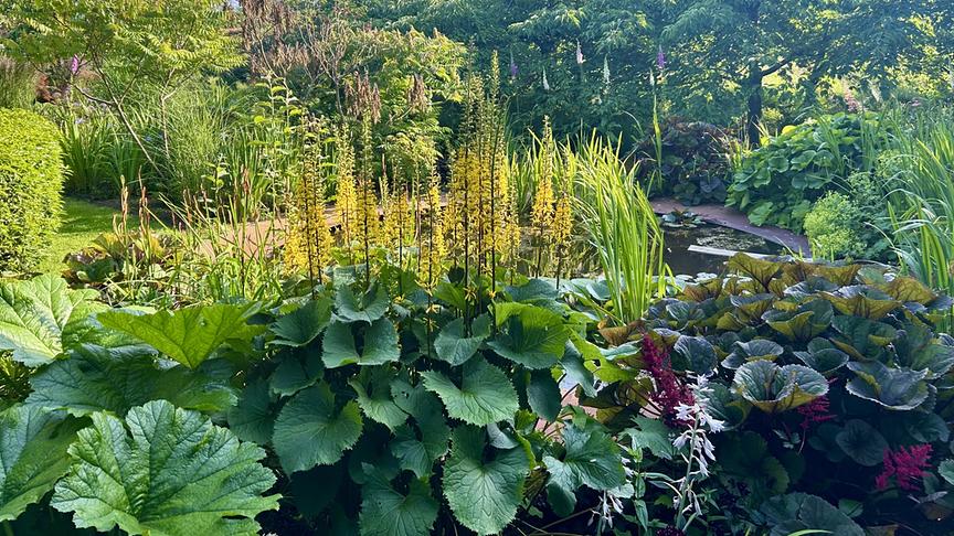 © Foto: ORF/Ralph Huber-Blechinger Karl Ploberger besucht Kilgar House Gardens.