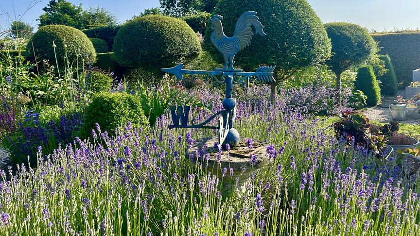 © Foto: ORF/Ralph Huber-Blechinger Karl Ploberger besucht Kilgar House Gardens.