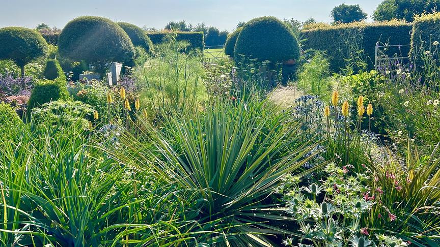 © Foto: ORF/Ralph Huber-Blechinger Karl Ploberger besucht Kilgar House Gardens.