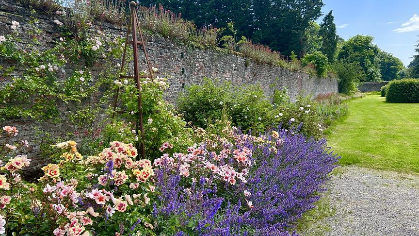 © Foto: ORF/Ralph Huber-Blechinger Hinter den Mauern von Russborough House versteckt sich ein verwunschener Garten.