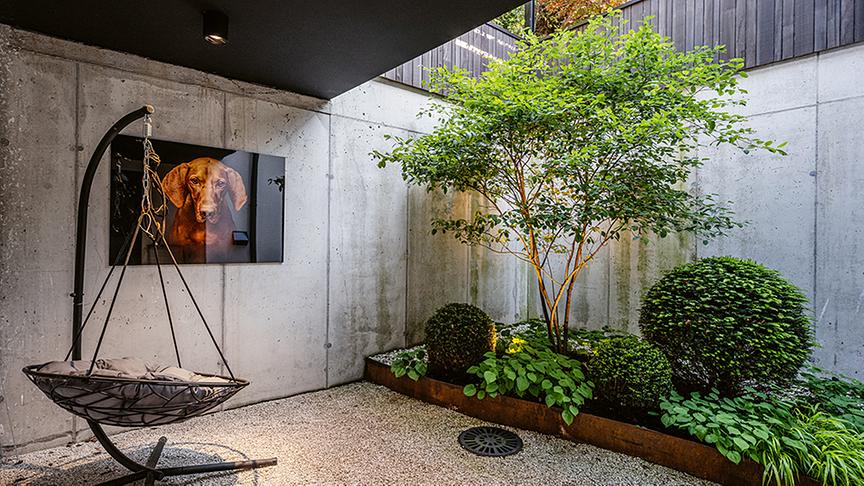 Lichtblick im Tiefhof mit Felsenbirne und Eibenkugeln. (Gartenwiesel GmbH)