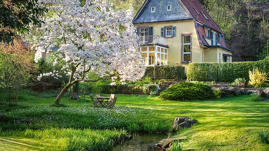 Ruhiger Sitzplatz am mäandernden Flüsschen unter einer charaktervollen Magnolie. (KEPOS Gartenarchitektur)