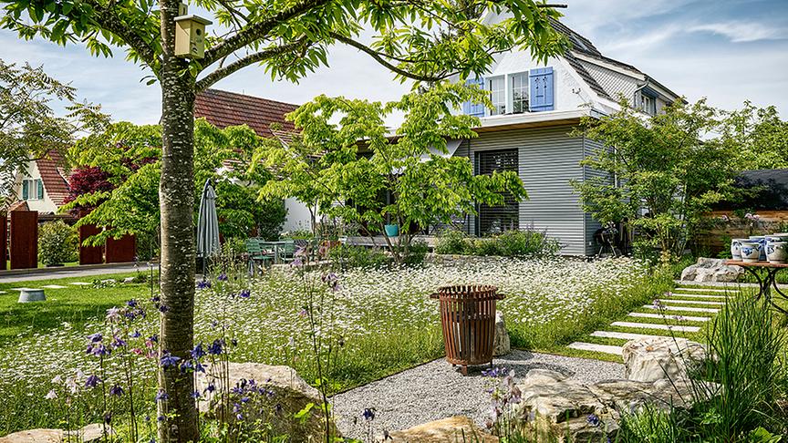 Mehrstämmige Gehölze strukturieren den vielfältig gestalteten Garten (Gartenkultur AG)