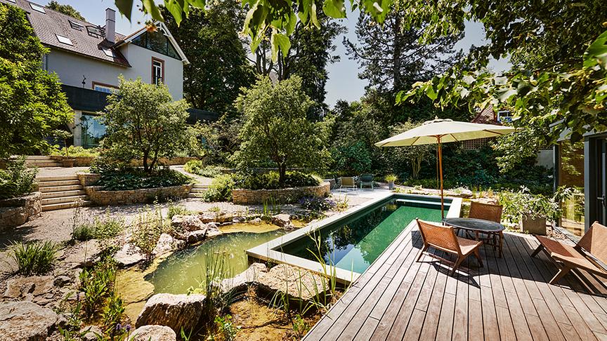 Statt Rasen: Bio-Pool mit Uferzone inklusive Sauna. (Feldmann Garten & Landschaft)