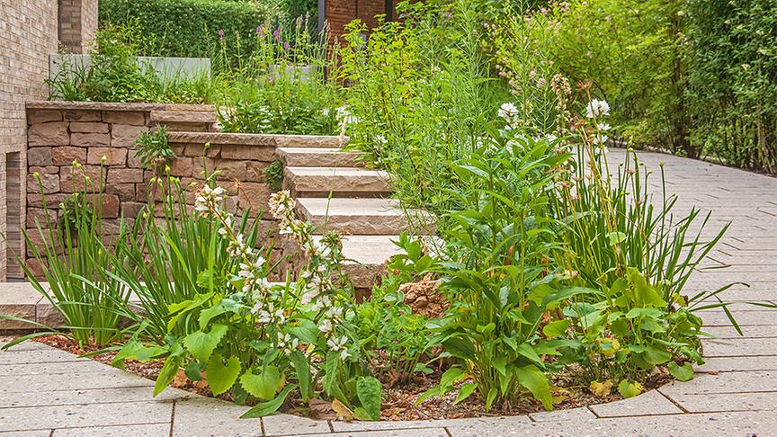 Ökologischer Landschaftspark verbunden mit moderner Stadtvilla. (Strauchpoeten)