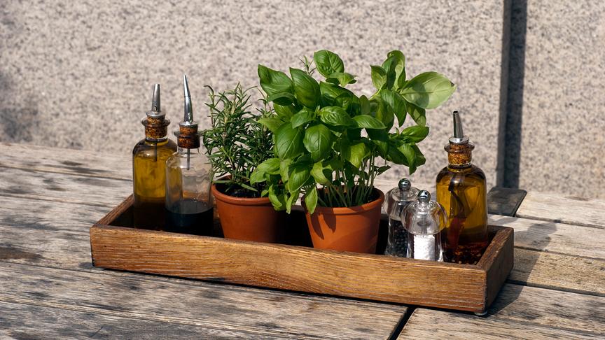 Brett mit Rosmarin und Balsamikum in Töpfen sowie Öl, Essig, Salz und Pfeffer