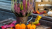 Buntes Heidekraut als herbstliche Deko in einem bronzefarbenem Topf.