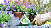 Gummistiefel und Gartenwerkzeug