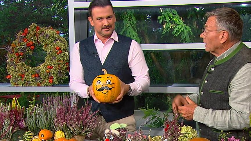 © ORF Sigi Fink bewundert seinen kleinen "Sigi look-alike" Kürbiskopf" mit aufgemaltem Schnauzbart.
