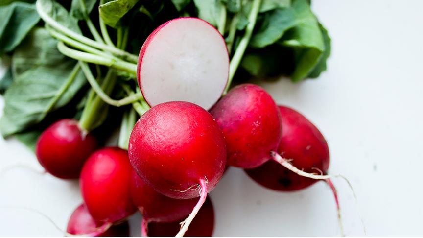 Radieschenbund auf weißem Untergrund, ein Radieschen ist aufgeschnitten