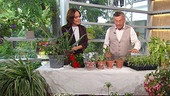 Eva Pölzl und Reinhard Kittenberger