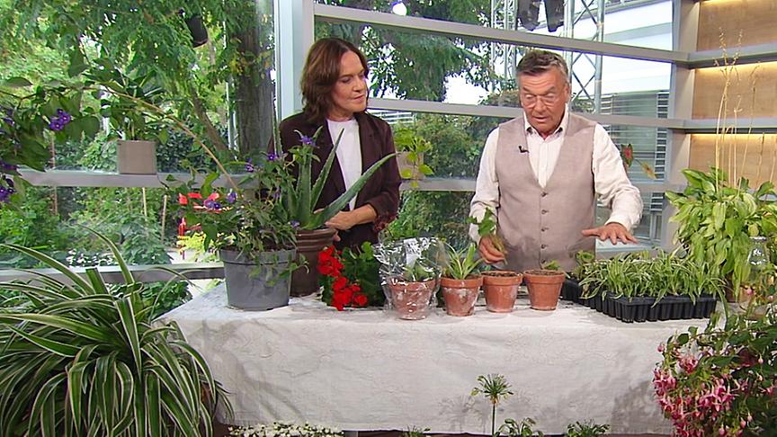 Eva Pölzl und Reinhard Kittenberger