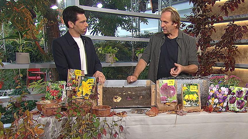 Landschaftsplaner Max Schiller im Gespräch mit Moderator Philipp Maschl.