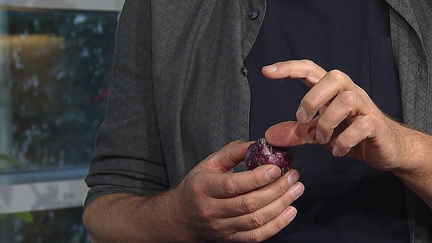 Max Schiller zeigt mit seiner Hand, wie hoch die Blumenzwiebel mit Erde bedeckt sein soll.