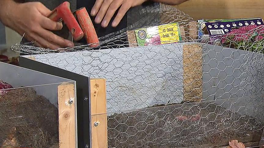 Max Schiller hat eine Pflanzbox mit Hasendraht ausgelegt.