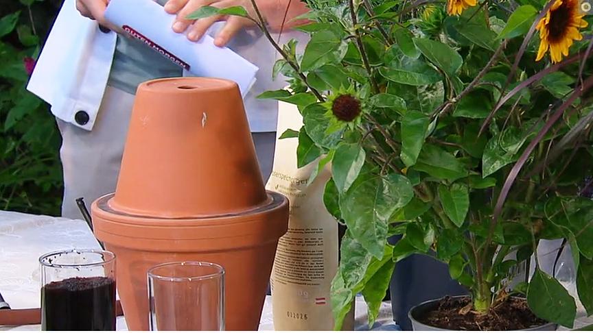 Einen zusammengeklebten Tontopf so neben der Pflanze eingraben, dass nur der obere Teil rausschaut und den Topf mit Wasser füllen - fertig ist ein natürlicher Wasserspeicher.