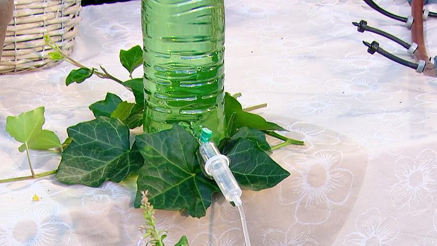 Mit einer Infusionsnadel in einer Wasserflasche lässt sich ganz einfach ein Tropfsystem selbst herstellen.