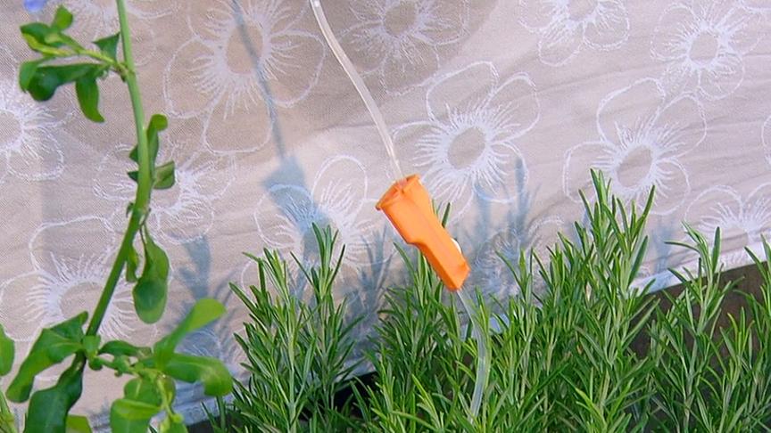 Mit einer Infusionsnadel in einer Wasserflasche lässt sich ganz einfach ein Tropfsystem selbst herstellen.