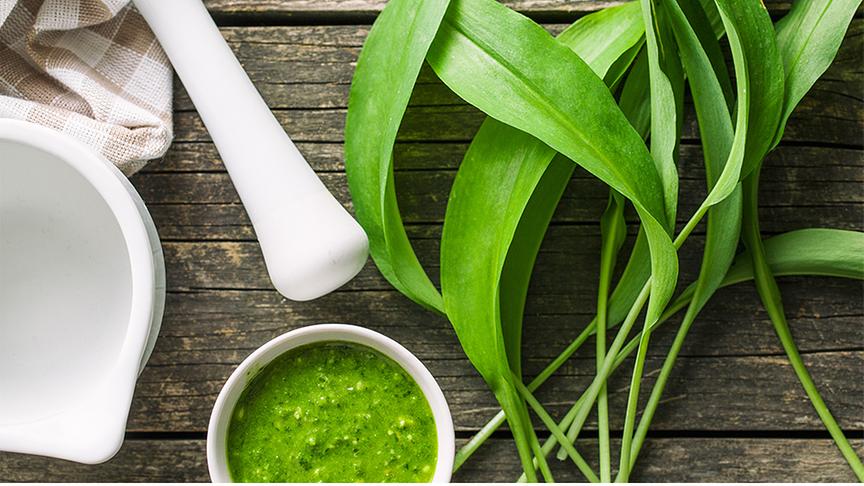 Bärlauchblätter, daneben ein Mörser und eine Schüssel mit Bärlauchpesto