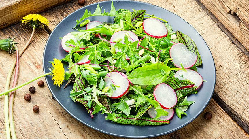 © Colourbox Teller mit Salat mit unter anderem Löwenzahn und Radieschen, danaben ganzer Löwenzahn gepflückt