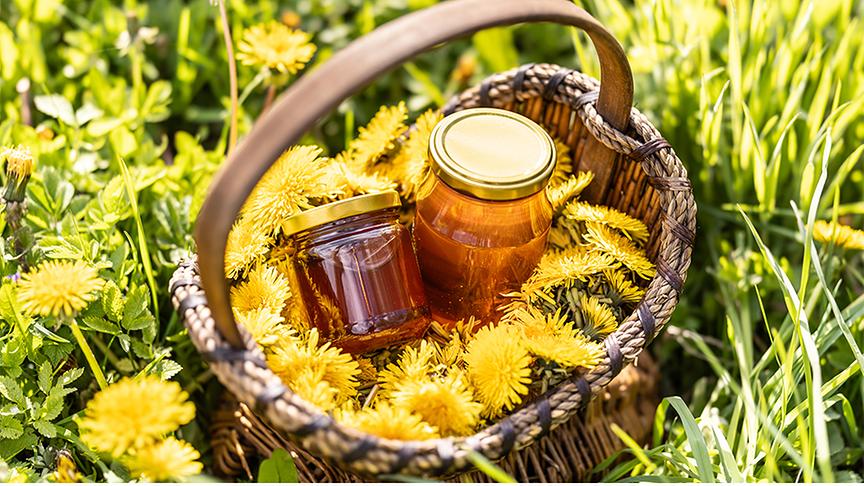 © Colourbox Korb mit gepflücktem Löwenzahn und zwei Honiggläsern in einer Wiese stehend