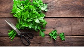 Ein Bund abgeschnittener Petersilie liegt auf hölzernem Untergrund und wird von einer quer über den Stängeln liegenden Schere beschwert.