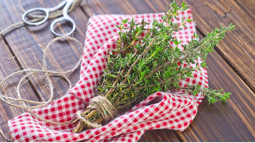 Thymianbündel auf einem karierten Tuch, daneben eine Schere
