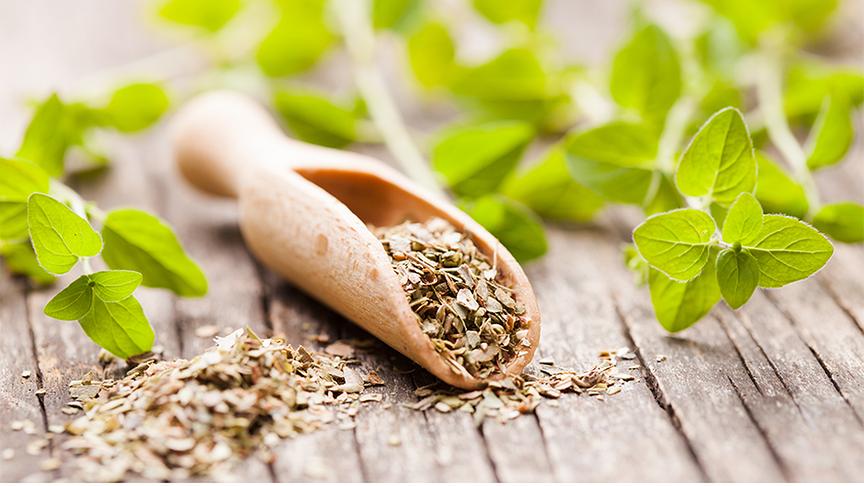 Eine kleine Holzschaufel gefüllt mit einem Gewürz. Dahinter ein paar Stiele Oregano.