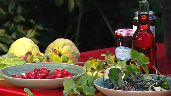 © ORF Tisch mit Quitten, Aroniabeeren, Apfelbeere und Uhudler-Gelee.