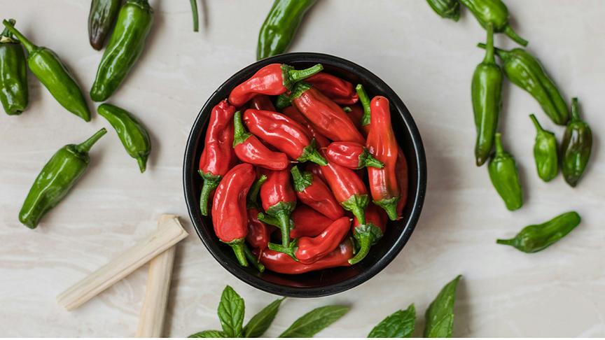 Rote Chilis in einer Schale, darum herum verteilt einige grüne Chilis